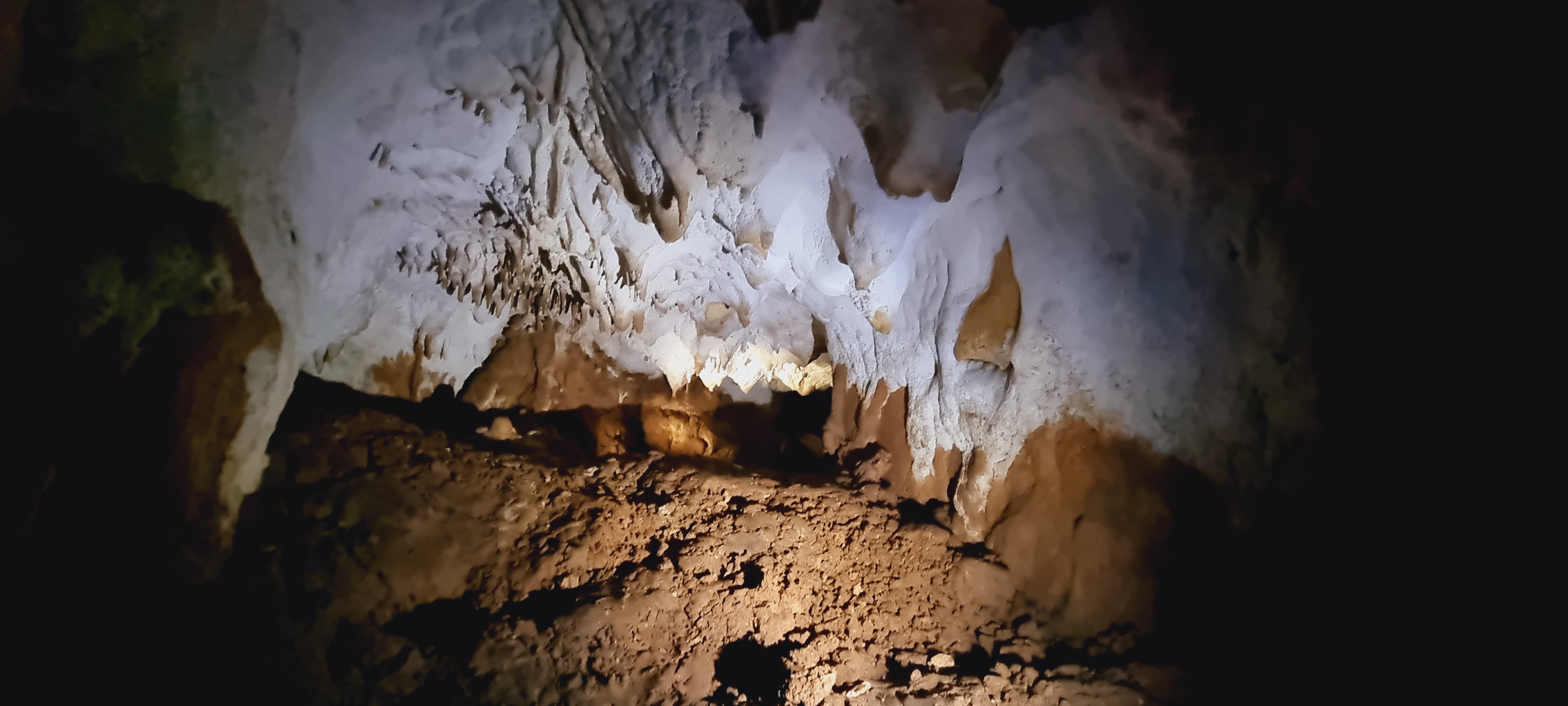 Pestera cu Oase din Valea Starnic - Image 5